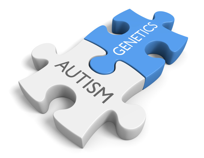 Genetica ed evoluzione cerebrale nell’autismo